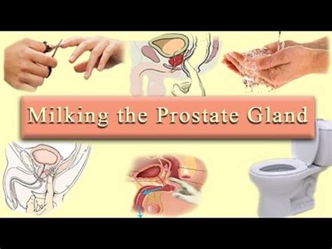 videos of prostate milking|Prostate Milking Porn Videos .